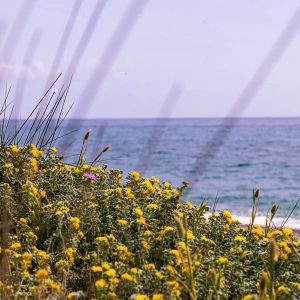 Sabbia albe e tramonti