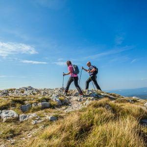 Cercando l’adrenalina