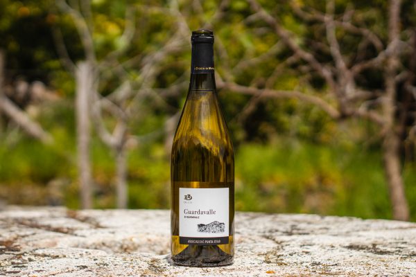 vino guardavalle